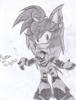 FUSION! Sonic + Shadow = Shadic! by MzShadowette -- Fur Affinity [dot] net