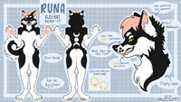 Runa's Ref Sheet