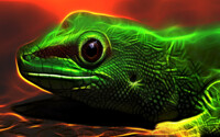 Fire Lizzard