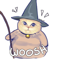 wizard cat *woosh*