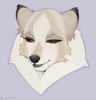 Shy