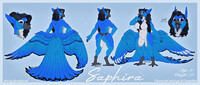 [C] Saphira Ref Sheet