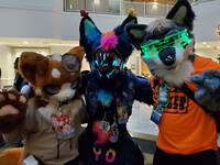 NYFB 2025 - All Cleared!