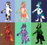 dogds