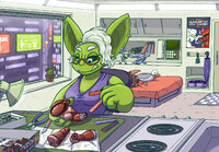 Vedreg in NGC [c]