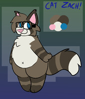 Cat Zach