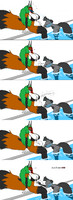 accident fish
