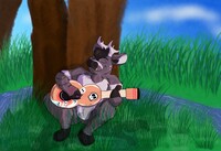 [COM] Live Streaming