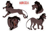 (Com) Mircea
