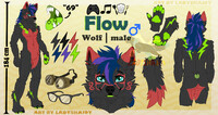 Flow Ref Sheet