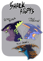 ICON SHARK ADOPTS