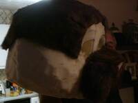 foam head beginning fur