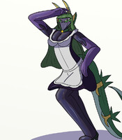 Superior Maid