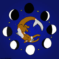 Polychrome moon !
