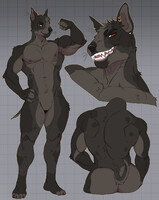 Bull Terrier adopt (sold)