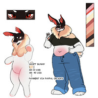 adoptable bunny HOLD ON