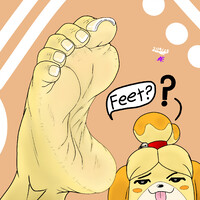 isabelle: ~FEET? 👣♥️ 🐶