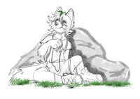 003