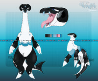 arctoplesio adopt. (sold)