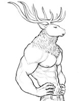 elk