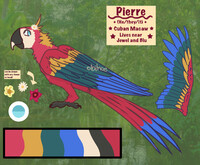 rio oc ref