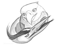 B-York Makes a Good Scarf for Aetus