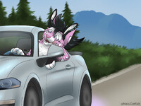 Joyride YCH