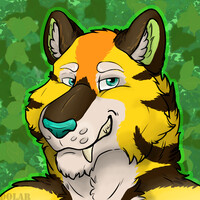 [Com] Safari