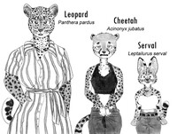 African spotted kitties