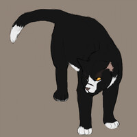 Realistic Black'osprey