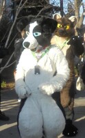 Furries at NFC 2025 - 4