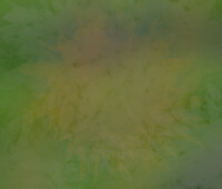 The Wildcat and the WatchDog Background