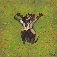 The warm embrace of the meadow