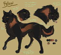 OC Ref | Follow