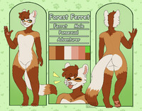 Forest Ferret Ref [COM]
