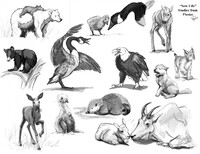 New Life (Study)