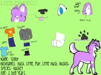 Husk Ref Sheet