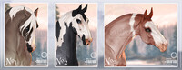 Portrait adopt (closed)