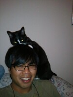 this cat. My brains. Not cool