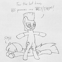 The nonbinary experience