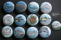 Marine Life Button Set 1