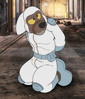 Mr Wolf 35d