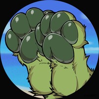 Paws in the Sand