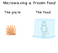 Microwaving frozen food be like: