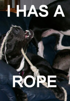 I HAS A ROPE