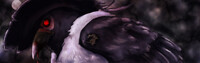Epidemic Johto Banner