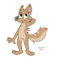 [Name planned later]