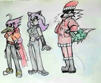 Sonic Adopts - CLOSED