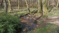 A Babbling Brook