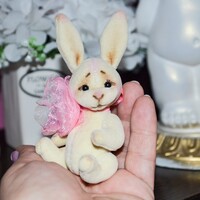 Nice mini rabbit🐰🐰🐰